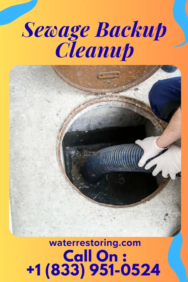 Sewage Backup Cleanup in Gassville, AR